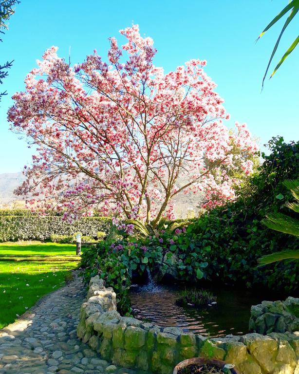 Il Casale Di Riardo Luxury B&B ภายนอก รูปภาพ
